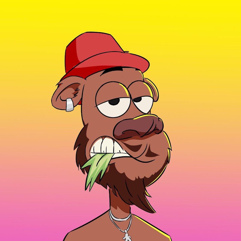 BRODA SHAGGI